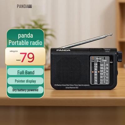 Radio de poche portable multibande PANDA 6123