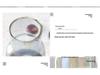 Transparent Minimalist Glass Vase for Office Decoration with Fresh or Dried Flowers