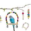Colorful Bead Bird Cage Swing Toy For Pet Bird Enrichment Using Pet Safe Component Cage Toy
