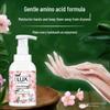 LUX Antibacterial Foaming Hand Wash, Cherry Blossom Scent