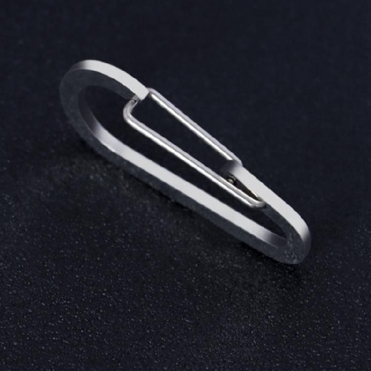 10Pcs Carabiner Clip Stainless Steels Keyring Clip Snap Hook Small Carabiner Clip for Key, Backpacks, Camping, Outdoor