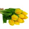 CV13899-3 TULIPS BOUQUET OF TULIPS PARROT ARTIFICIAL RUBBER FLOWERS 5 PCS lifelike
