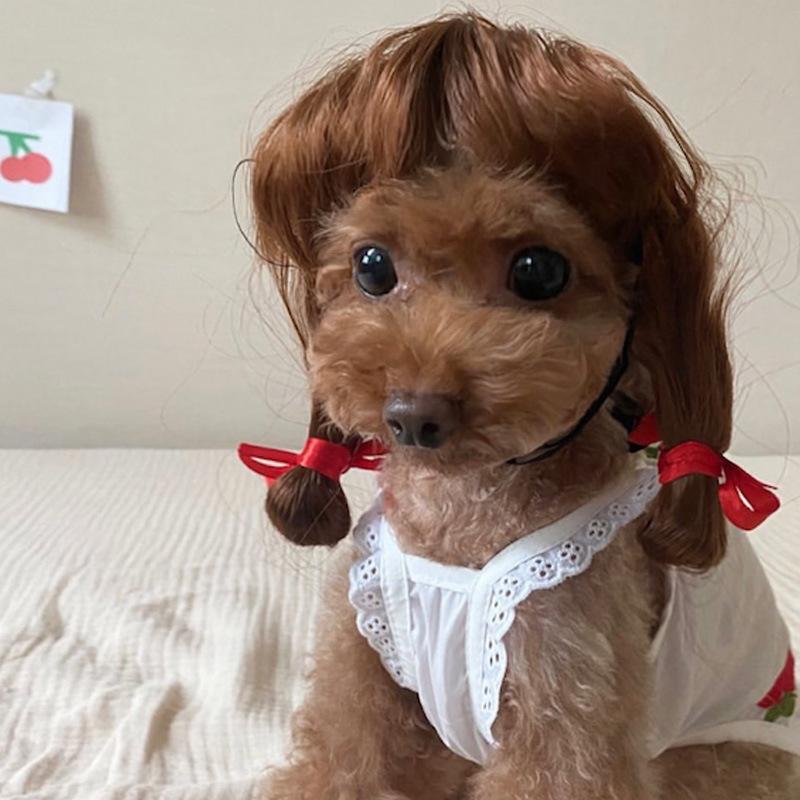 Lustige Hunde-Katzen-Cosplay-Perücke für kleine Hunde, Kopfbedeckung, Cosplay-Kostüm-Accessoires, Haustierperücken für Halloween, Heiligabend, Festival-Party-Dekoration
