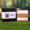 3D Chakra Tree Memo Pad, Rainbow Tree of Life Paper Craft Sticky Notes Cube with LED Light, Unique Office Gift