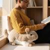 Lifelike Chinchilla Plush Toys Cozy Simulation Rat Doll Totoro Plush Doll  Children Companion
