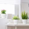 Plastic Round Flower Pots with Tray for Home Planters, Terrace, Garden Etc | Pack of 05 | White | Size 6.5 Inch | for Home Indoor & Outdoor
