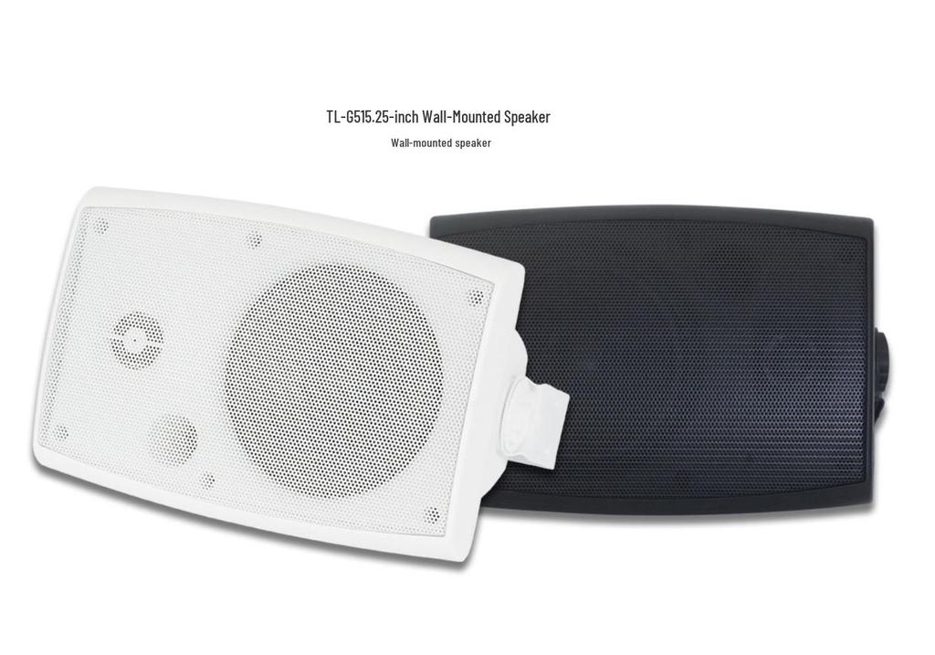 5.25" Wall-Mounted Speaker for Public Address and Background Music