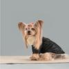 Windproof Feature Pet Winter Coat Fur Lining Warm Pet Clothes Warm Fur Jacket  For Dogs