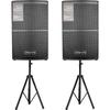 LINGSHENG SP-10 Professional Stage Speaker System