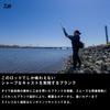 Daiwa Baitcasting Seabass Rod MORETHAN BRANZINO EX AGS 93MHB