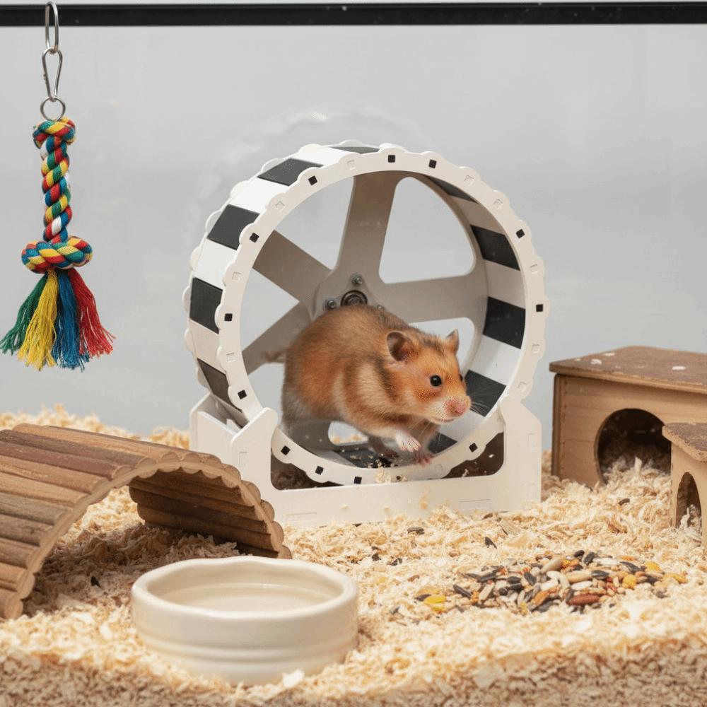 Plastic Hamster Running Wheel Stable Base Colorful Rodent Running Wheel 21cm Silent Pet Hamster Bracket for Small Animals