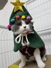 Festive Christmas Tree Shawl for Pets: Winter Cloak for Dogs and Cats