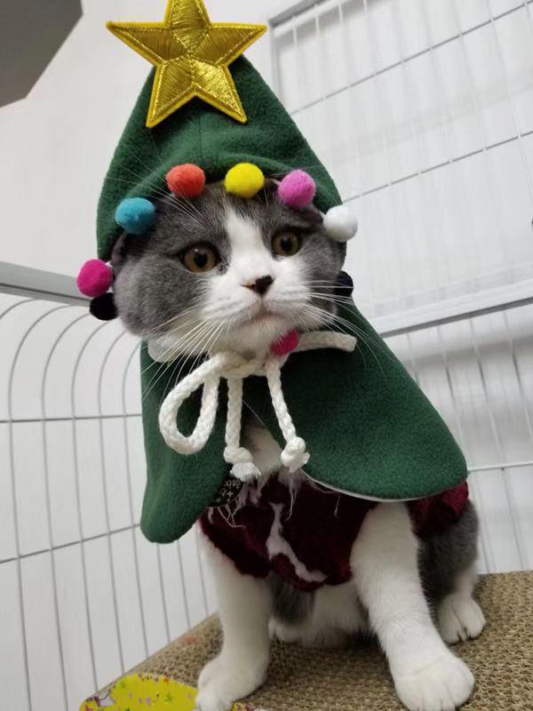 Festive Christmas Tree Shawl for Pets: Winter Cloak for Dogs and Cats