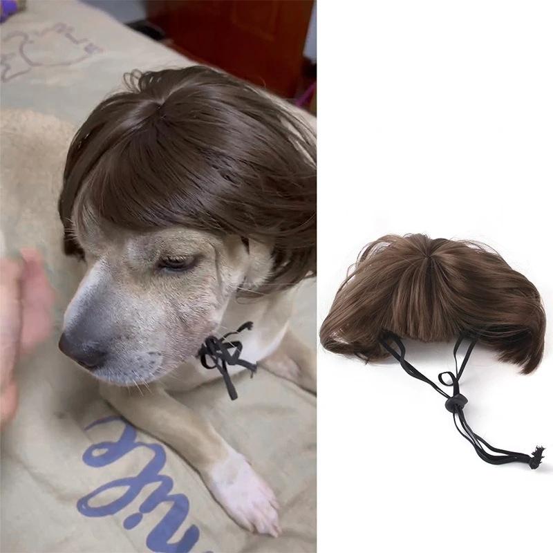 Huisdier Pruiken Cosplay Requisieten Grappige Honden Katten Crossdressing Haar Hoed Kostuums Hoofdaccessoires Voor Hallooween Kerst Huisdierbenodigdheden