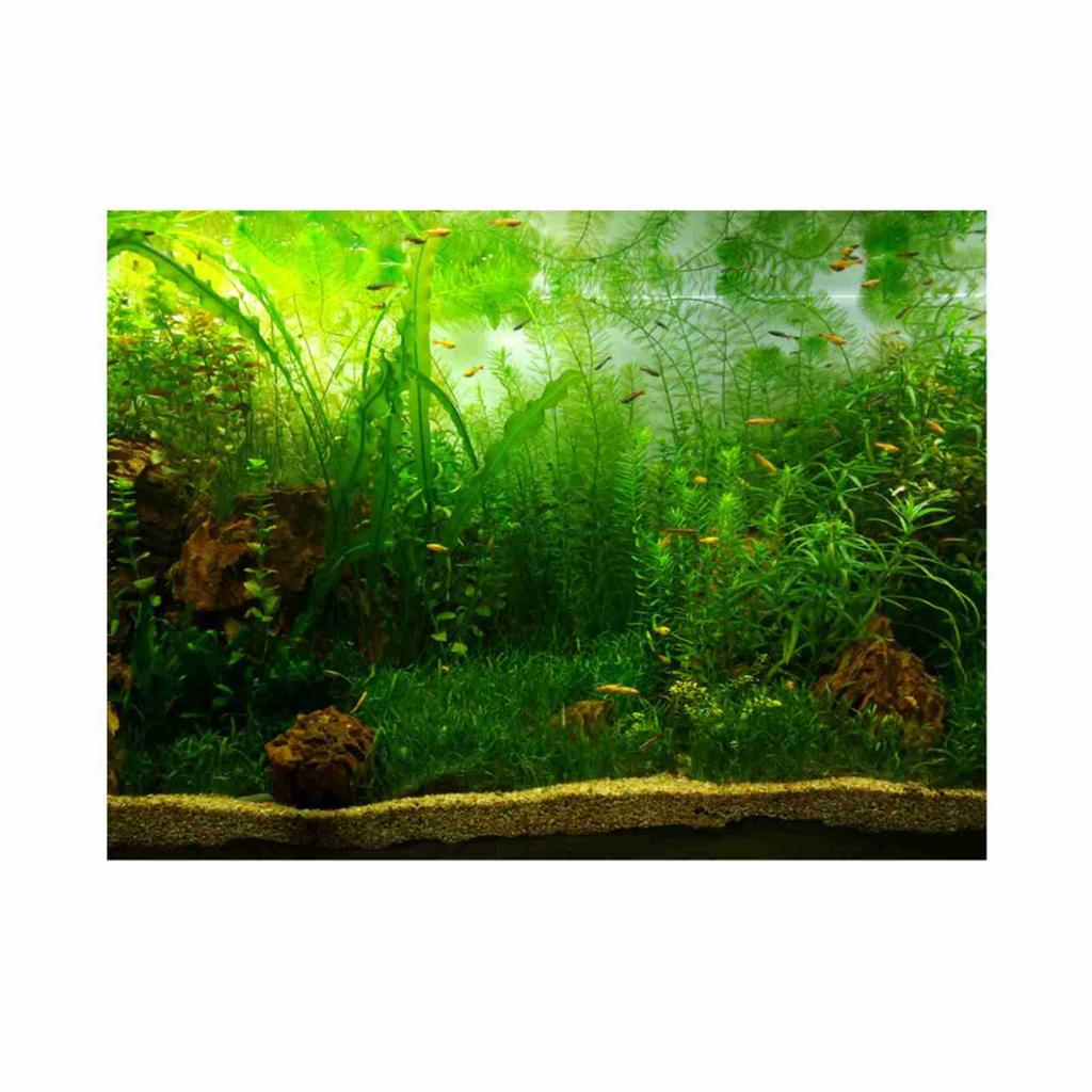 Vatten Gräs Stil Akvarium Fisk Tank Bakgrund Poster PVC Självhäftande Dekor Papper (76*46cm)
