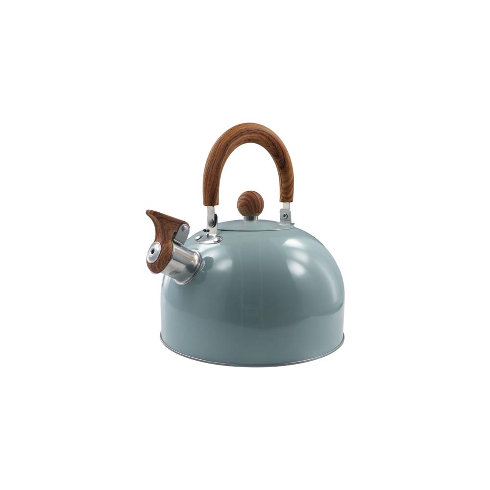 

Large Capacity Tea Kettle Heat Resistant Whistle Kettle Portable Kitchen light green