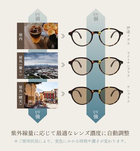 FEELLIFE Crown Panto Photochromic Sunglasses, UV and Blue Light Blocking, PH5012 (Black, Gray Photochromic), Made in Sabae
