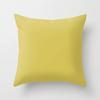 Modern Simple Solid Color Double-Sided Printed Pillow Cover Pillow Core Home Sofa Cushion Pillow Cover Premium