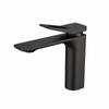 TLXT Modern Hot & Cold Washbasin Faucet
