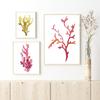 Corals Art Print Wall Pictures Home Decor  , Watercolor Cora Print Wall Art Hanging Bathroom Canvas Painting Nautical Decoration