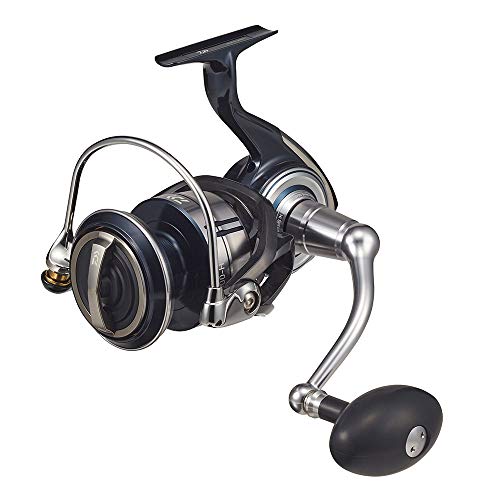 

Daiwa 21 Сертификат SW 10000-H