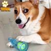 Köpek – Köpek oyuncakları