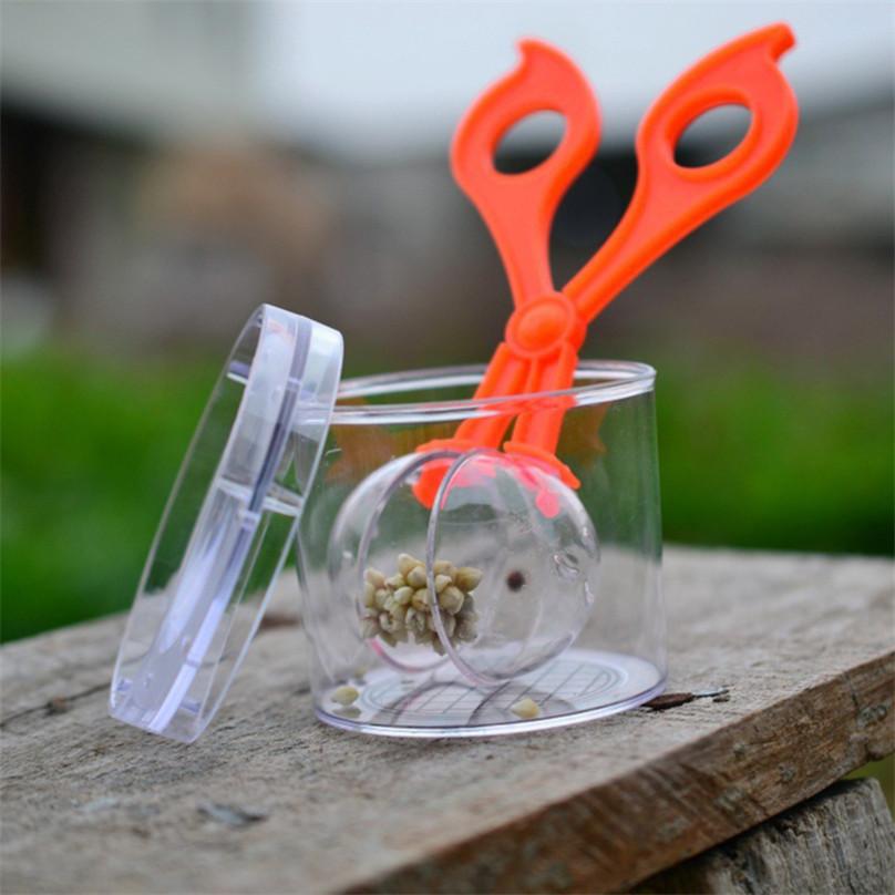 Plastic Scissor Clamp & Tweezers Nature Exploration Toy Kit for Kids Plant Insect Study Tool
