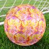 Winx Club Theme Size 5 Soccer Ball, Suitable for Both Indoor and Outdoor Matches, a Gift Suitable for Everyone.