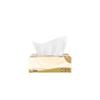 NHZHIW Boxed Facial Tissues, 2-Ply, 200 Counts