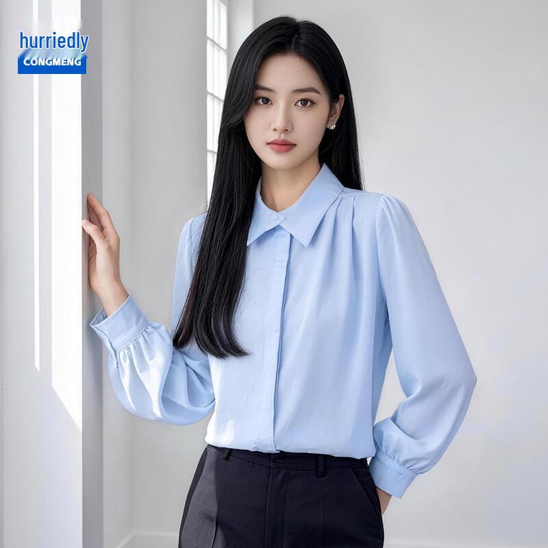 Women's Long Sleeve Professional Blouse