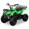 Little Bull 500W Electric ATV for Kids – 36V, 12Ah Battery Leisure Vehicle