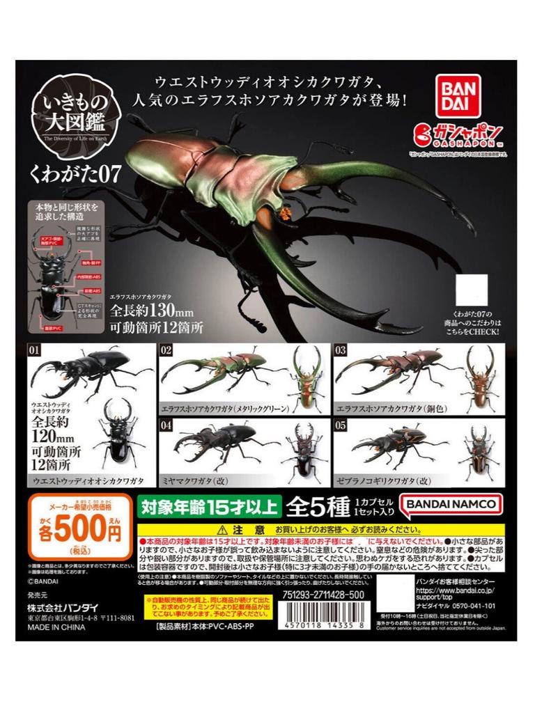 Biographical Analysis of Deer Antler Beetle and Claw Shaped Insect 07 Beetle Gacha Simulation Animal Movable Joints Figure Toys
