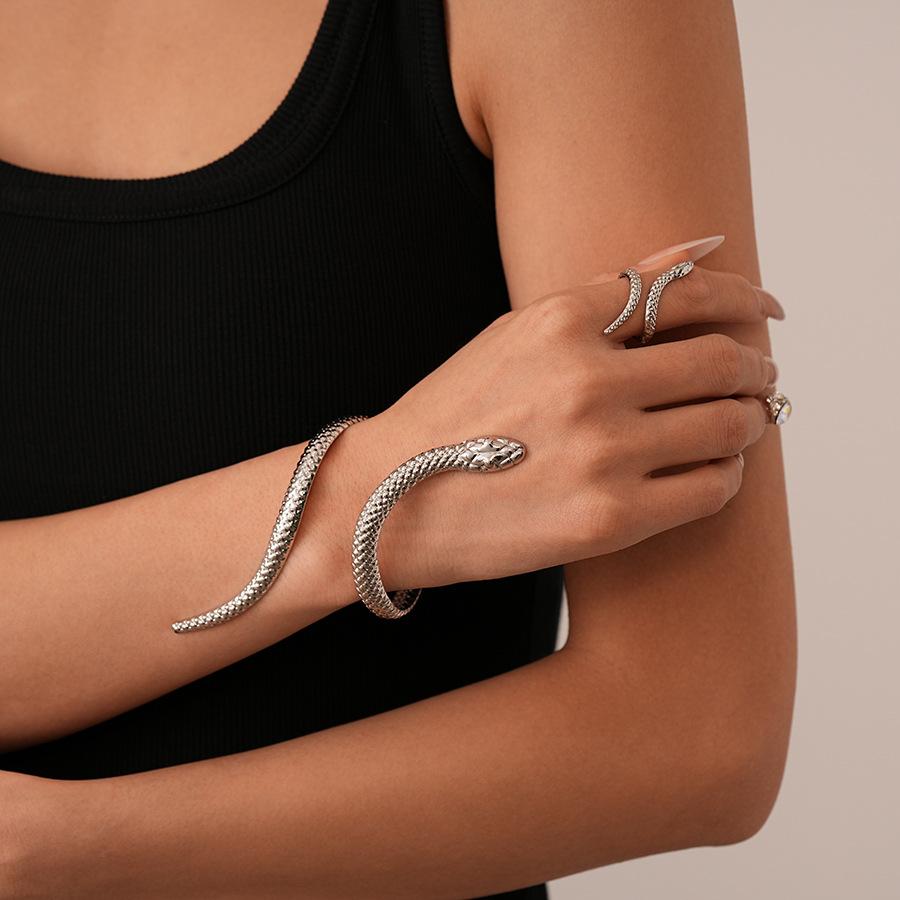 Neuer Eingang Schlangenförmiges Armreif-Ring-Set für Damen Übertrieben Metall Einzigartiges Design Armband Mode Schmuckset
