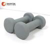 Yueji Tiger Flat-Head Dipped Dumbbell Pair
