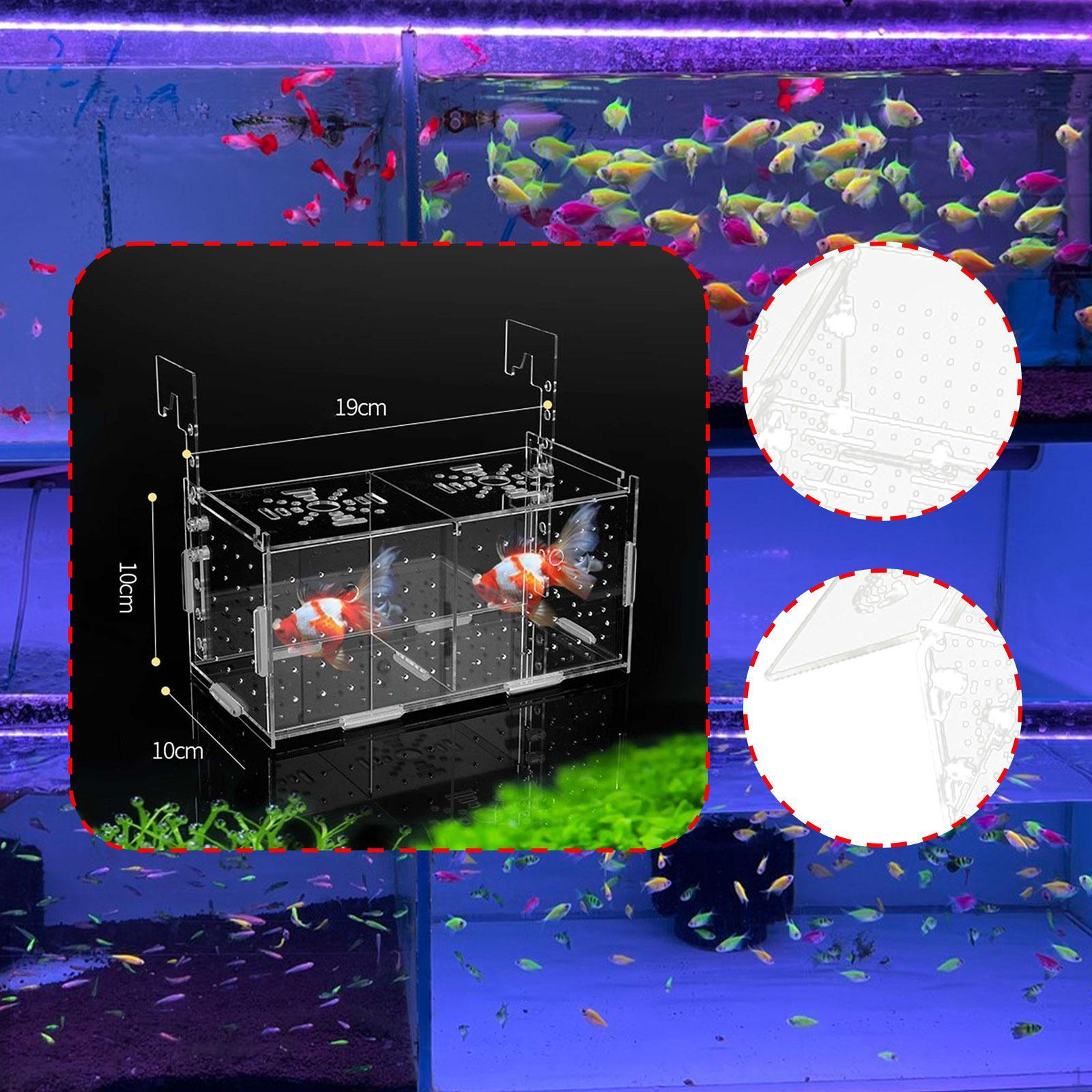 

Нерестовик для акваріума Акриловий Адаптаційний Розплідник Нерестовик Мальки Петушок Креветка Double Room