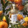Guerlain - Eau de Toilette Aqua Allegoria Mandarine Basilic 125 ml - 