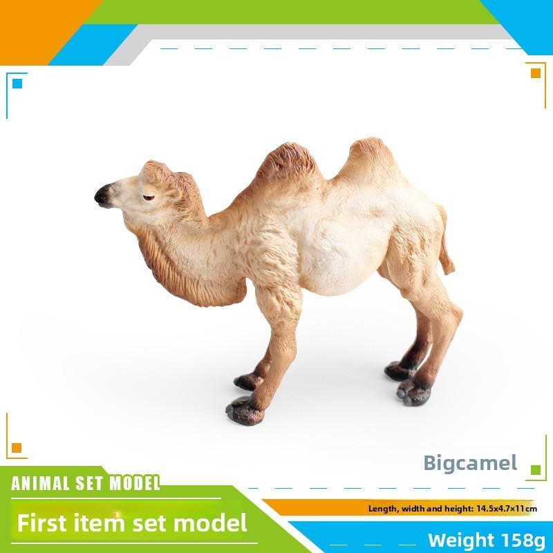 Desert Animal Pvc Figurine Twin Hump Camel Static Decor For Children Learning Play