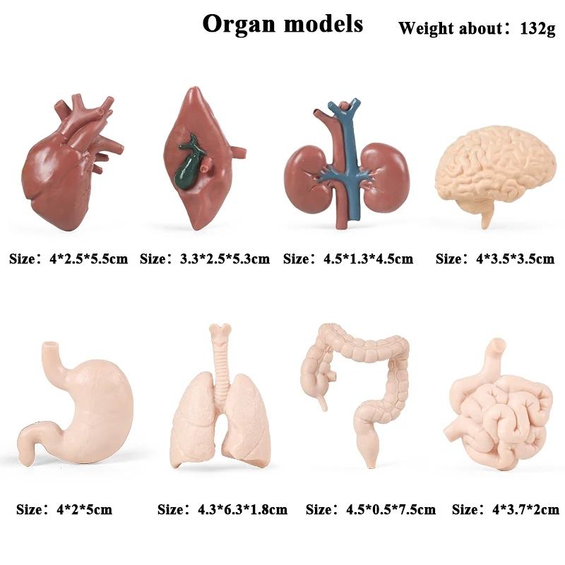 Oenux Space Astronaut Spaceship Rocket The Solar System Cosmic Planet Universe Model Action Figures Miniature Education Kid Toys