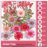 Handmade Pressed Flower Bookmark and Epoxy Sticker Pack with Real Leaf and Plant Specimens for DIY Face Makeup.