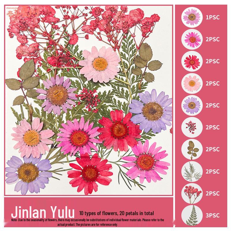 Handmade Pressed Flower Bookmark and Epoxy Sticker Pack with Real Leaf and Plant Specimens for DIY Face Makeup.