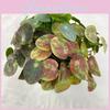 Plants Artificial Plastic For Home Decor Photography Props Wedding Decoration