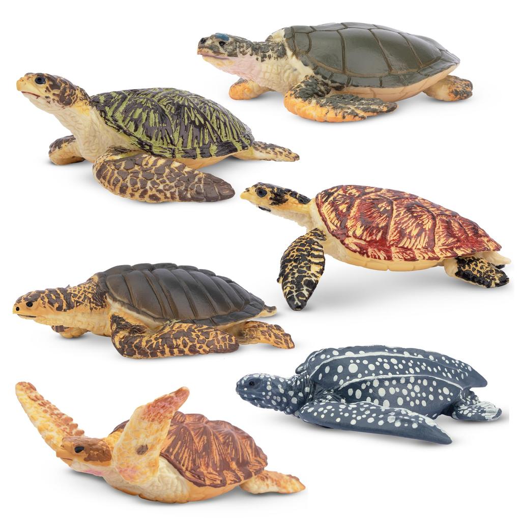 TOYMANY Animal 6 Pieces Turtle Marine Animal Realistic Animal Turtle Popular Birthday New Ages 6 and Up Figures, Figures, Set, Model, Lover, Animal,