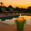 Citronella Cactus Candle In Pot – Long-Lasting Outdoor Mosquito Repellent