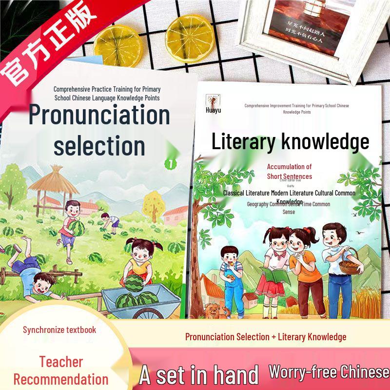 Comprehensive Primary School Chinese Skills Training: Pronunciation, Literary Knowledge, Mind Mapping, and Reading Comprehension