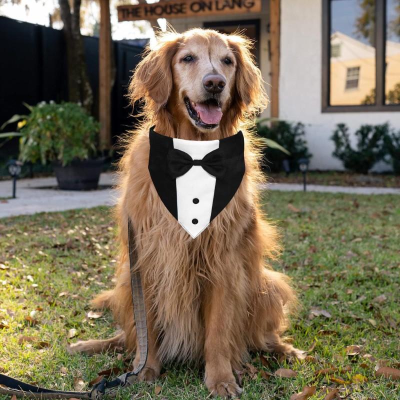 Adjustable Dog Tuxedo Suit With Bowtie Pocket Square Wedding Party Costume