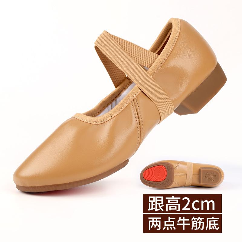 Dance Shoes for Women Two Point Flat Sole Teacher Shoes Professional Dance Shoes