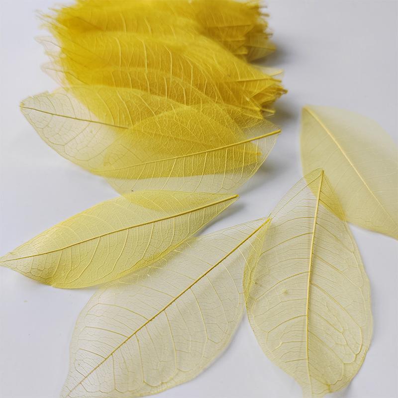 5~9CM*2~3.5CM,10PCS/Set,Real Dried Natural Vajra Leaf ,Pressed Dry Flowers Skeleton Leaves,DIY Wedding Decoration