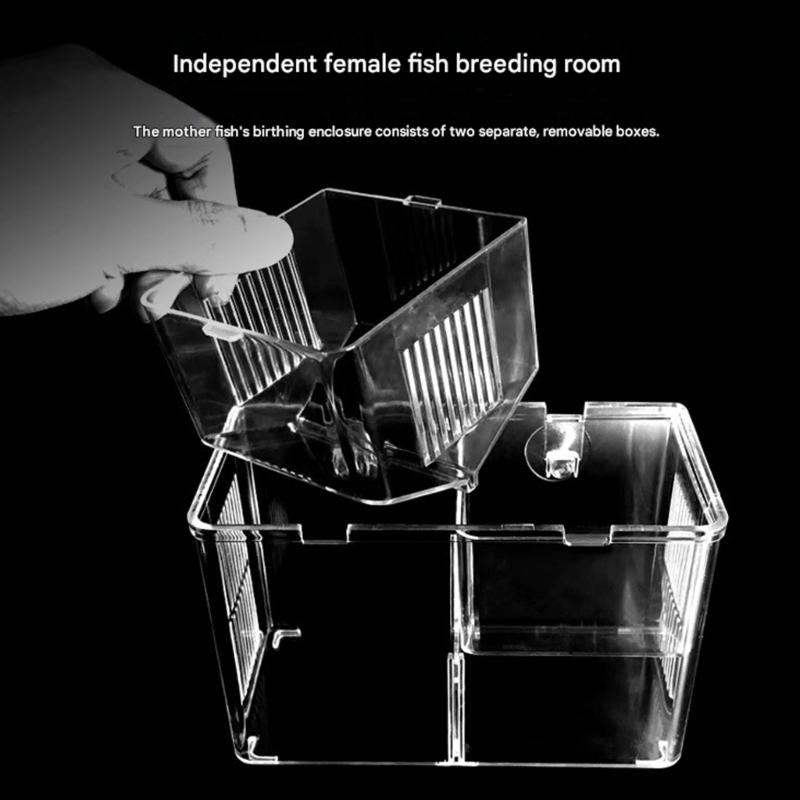 Aquariums Breeding Container with Water Flows Hole Highly Transparents Fish Breeding Box Aquariums Isolation Case