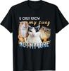You Only Know My Swag Not Lore Funny Derpy Cat Meme Y2K T-Shirt