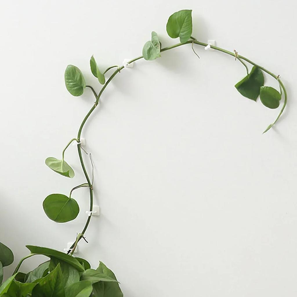 10pcs-pack Plant Climbing Wall Fixture Clips Rattan Vine Fixer Self-Adhesive Hook Invisible Garden Binding Clip Wall StickyClip